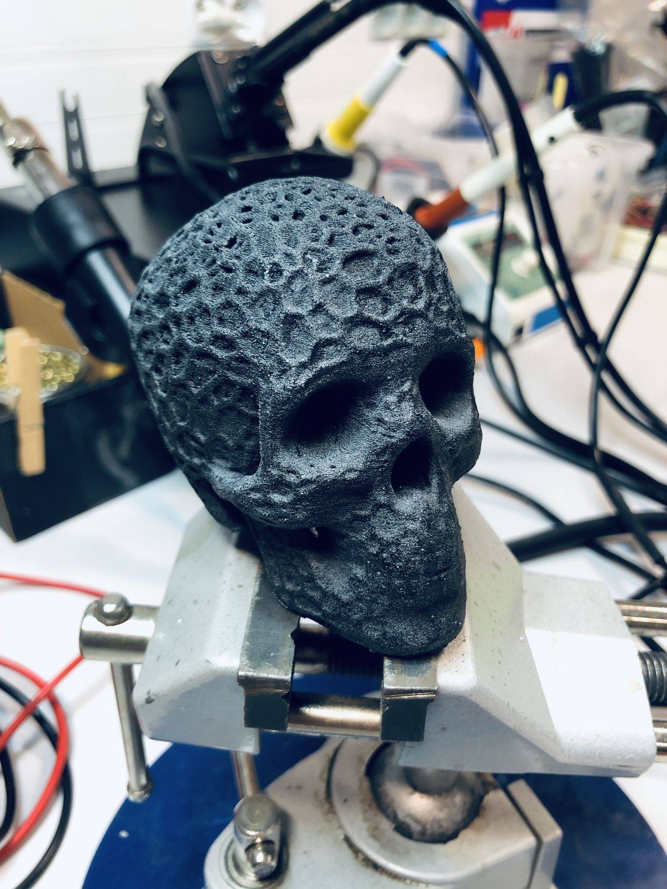 Organic_Human_Skull_With_Vorono%C3%AF_filters_03_01